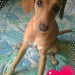 D 42b06ec6 6ec3 4cb2 a2f9 1b6ccaadbfaf