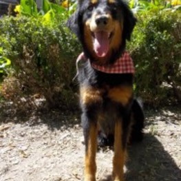 D b4727aa5 5b2e 419b afed cac51bb467e9