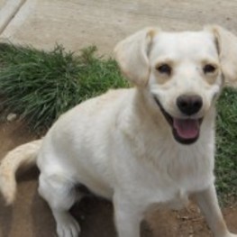 D fc322fb3 c1d1 4983 a6af 64699e75a843