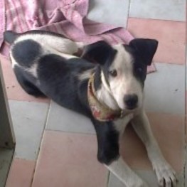 D 5f3f8484 b966 417e ad56 4b83438718b6