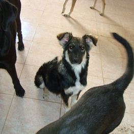 D 3a8f3cee c64e 49db bc7d e8c84b3355f9