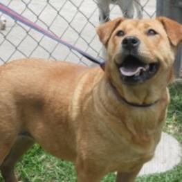 D dc9bf2e5 3a96 4d14 8449 1818d9007caf