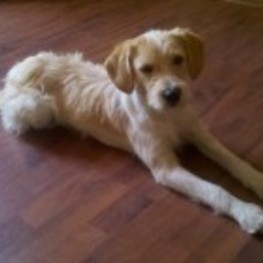 D 5b6a77de 7267 4e8b b37a 8f191e759d01