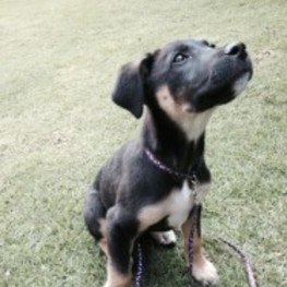 D bd7f3b01 22e3 48c2 8e44 ddf0f415aa8e