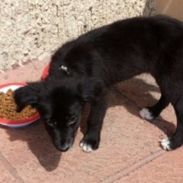 D db034935 682e 41ae 8517 ff3ab3ef7ae3