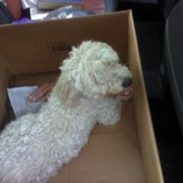 D a9ad68b3 d8cb 4b19 bab8 c5aa0306c595