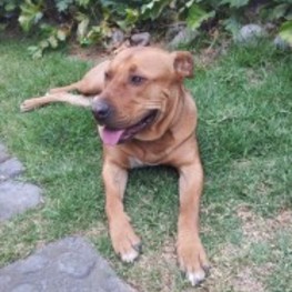 D 4e1f315a aae2 4bc9 9727 a76a25526a12