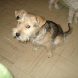 D 676f920f f65e 416c b73f e2189a8388df