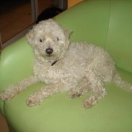 D 17f0e497 8da8 4dea 9eba a2ab9f6cfbac