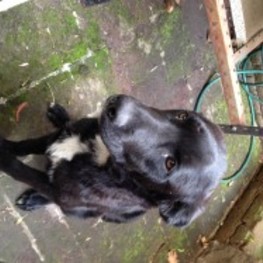 D 6406896b 01e7 4d0c a96d 1298f22ad6a6