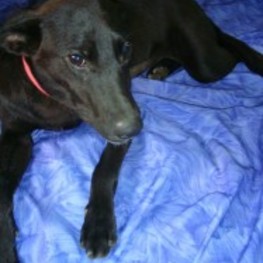 D 391374a5 2213 4dc2 b7b3 a3942547e0cd