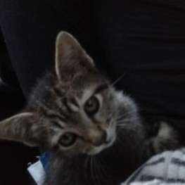 D 05493136 0f52 4530 ab36 e3cba96e6c22