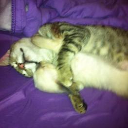 D cac8c4ac 8ae3 42d7 b4b6 b97bd30b2c7d