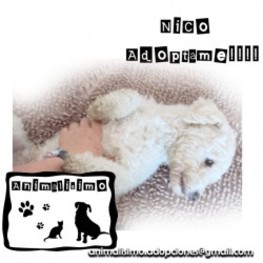 D 459c2282 5232 49b9 984b 5971d39aa900