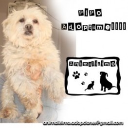 D d790f587 e96e 40e9 a61f 5fdc4a22d136