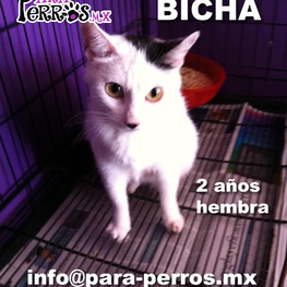 D d45537e0 859e 4119 9440 626bbf5976bb