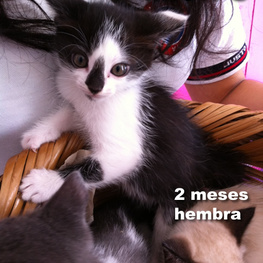 D 81145b40 de00 4e2a 97e8 fd331d2471ba