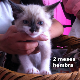 D 81a4eefb 945c 4eaf 815c 8c4e4dfb0b90