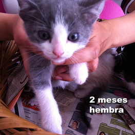 D 9b22ee16 df56 4bff b175 d4aaf11a864e