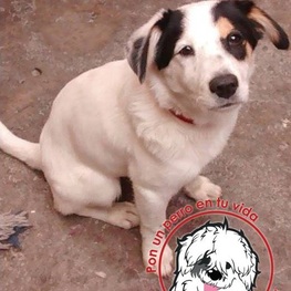 D 2a54addb 44ec 4e4a bb3b c38ccc1a166c