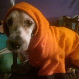 D 0c01c8ad c80e 4062 a460 c2003f9d9d06