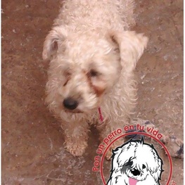 D 6a80a35b 5e31 4bb2 96b6 510c235a070f