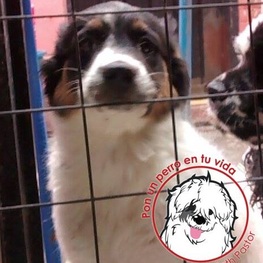 D 8e3c582b 4da3 4af2 beb0 89c3bec375cc