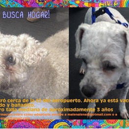 D 4c7e6c51 5e44 4bcc 9c3a 200258a3de77