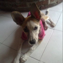 D b545560b 0a3f 4382 9d90 5087796694fe