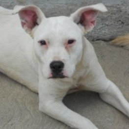 D bb9d503d 8fdb 43dc a74c b9e46d60de29