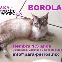 D 9095e716 28e1 4cda ad86 a89f0cda7bd1