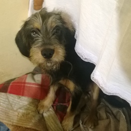 D bc6e470a 6464 4066 8e22 ef8fdecdc907