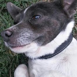 D a02006be bfd1 434b 9c68 ab540cf160d2