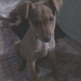 D 13c6f624 4508 44fb b836 4cd258d932d8