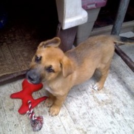 D c7430530 b56a 4716 a31e 342563065e22