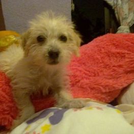 D 9ed46237 48a7 4551 bbfe d63798b4793b