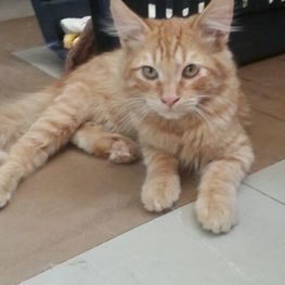 D f45f4970 2385 4c4e b7b2 fd73f57b3dd6