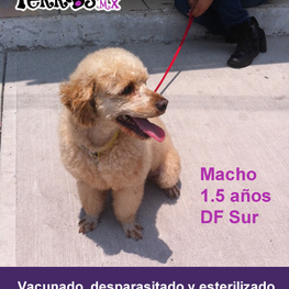 D 04d112fb ab63 432f 96b4 e1ada559140d