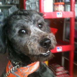 D 5c511475 47c8 420c be32 3e1e35756029