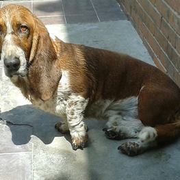 D 946fef88 b718 4972 9975 418a08d71999