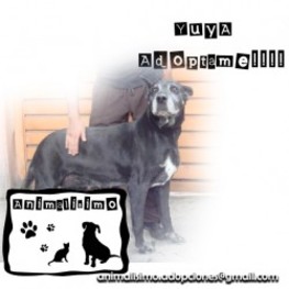 D dcc00da3 601a 429d 99e6 ee2cf5420e90