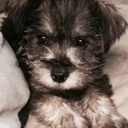 D 2a97b55f 121f 4d26 9804 c41266a0499d