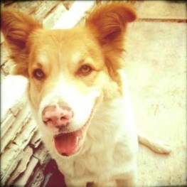 D 9ca0586f 6030 4d2a 9477 79ed97dcb83d