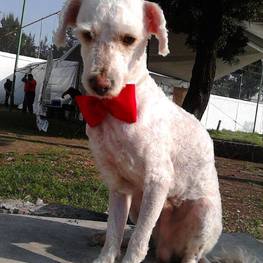 D 41d7a57e 1e19 474e a99f 008a8883084d