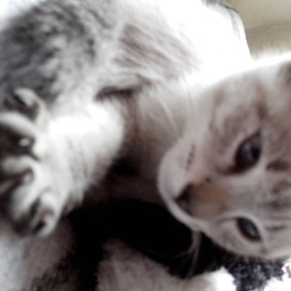 D f50a4c21 9f7f 458a 8985 c78437d67db5