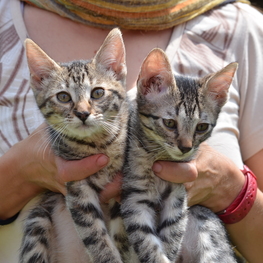 D 1cd564a2 f088 4833 a8e9 1aaa66bd2231