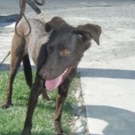 D b836f5e9 a070 43e2 9672 ab88a5f91ddf