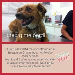 D 32e7693c f12a 4a83 a5ae f3fac252b9d6