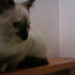 D e5ad9eb3 04f4 4d98 b434 7195890ac4eb