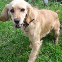 D fd218d66 264f 4e53 b9d8 e03fe2992621